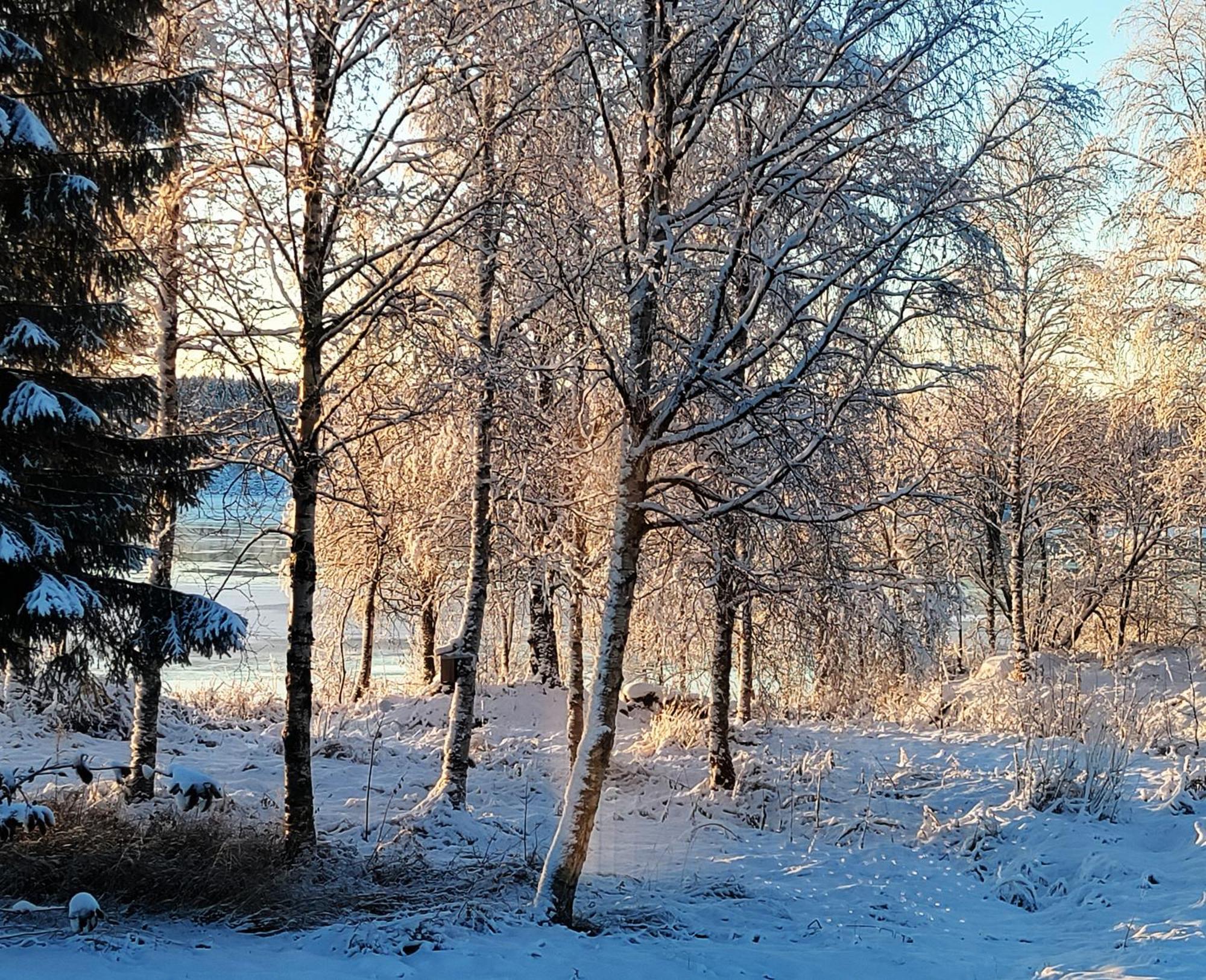 Villa Puistola & Sauna, Near Santa'S Village Rovaniemi Zewnętrze zdjęcie